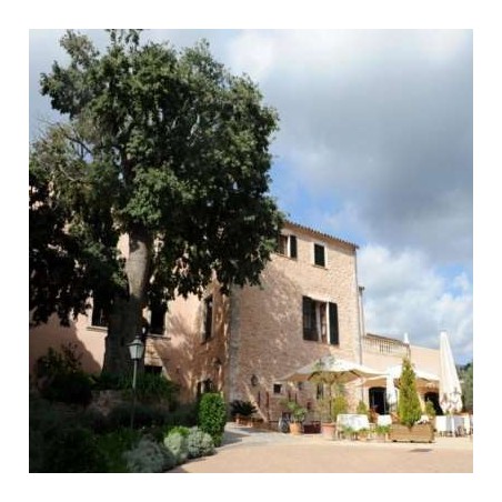 Finca S'Olivaret