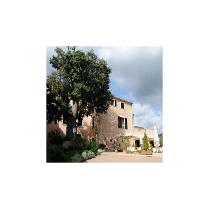 Finca S'Olivaret