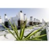 Cantur City Hotel