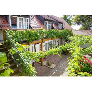 Sonderspecial an der Deutschen Weinstraße / 2 Tage