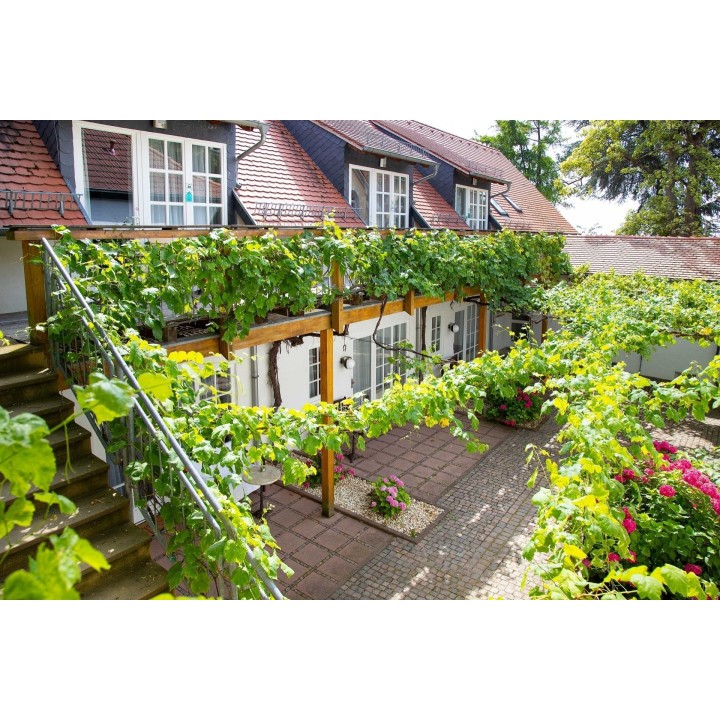 Sonderspecial an der Deutschen Weinstraße / 2 Tage