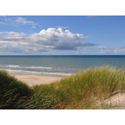 Tornby Strand Camping - Hirtshals