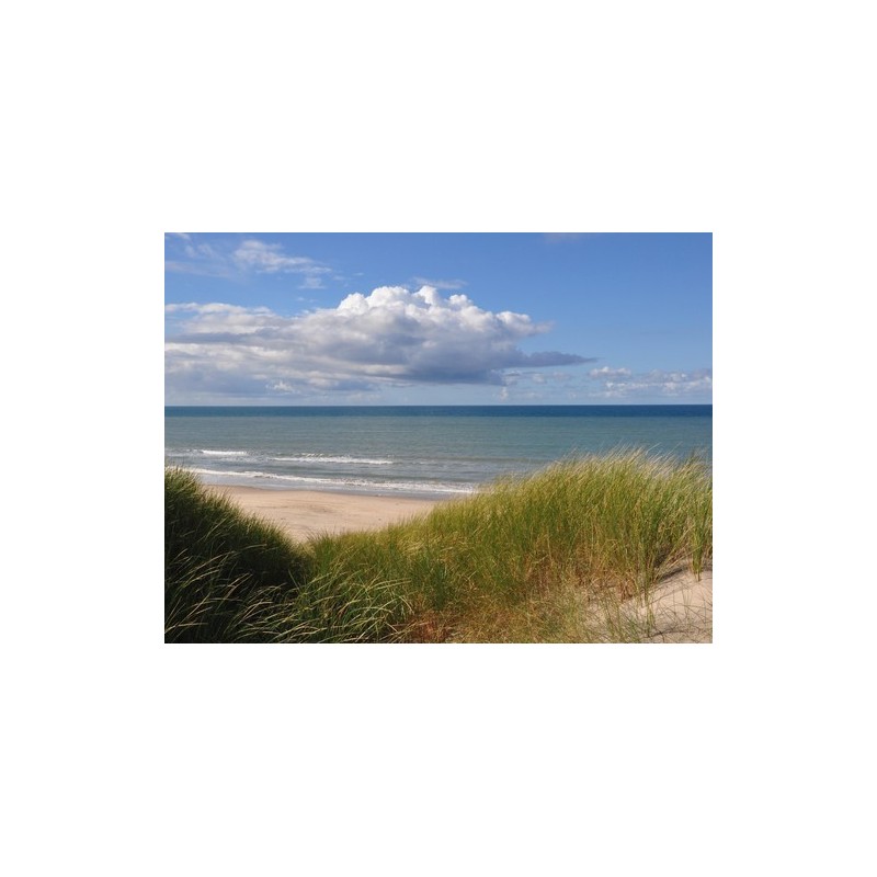 Tornby Strand Camping - Hirtshals