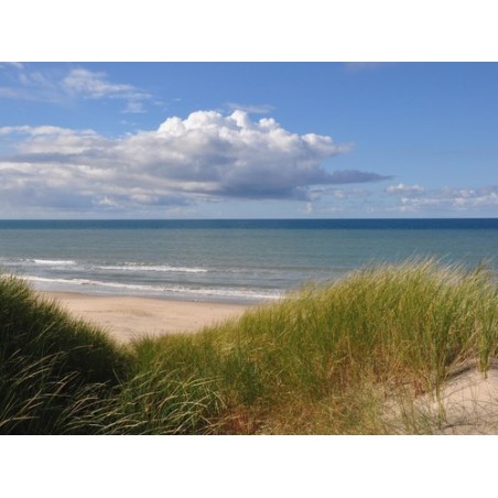 Tornby Strand Camping - Hirtshals
