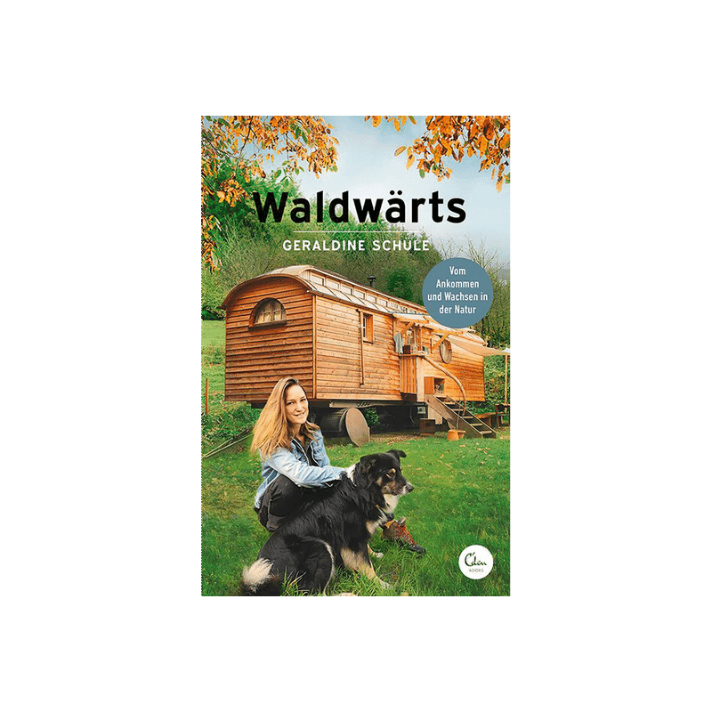 Waldwärts.