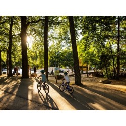 RCN het Grote Bos