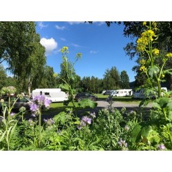 Hammarstrands Camping