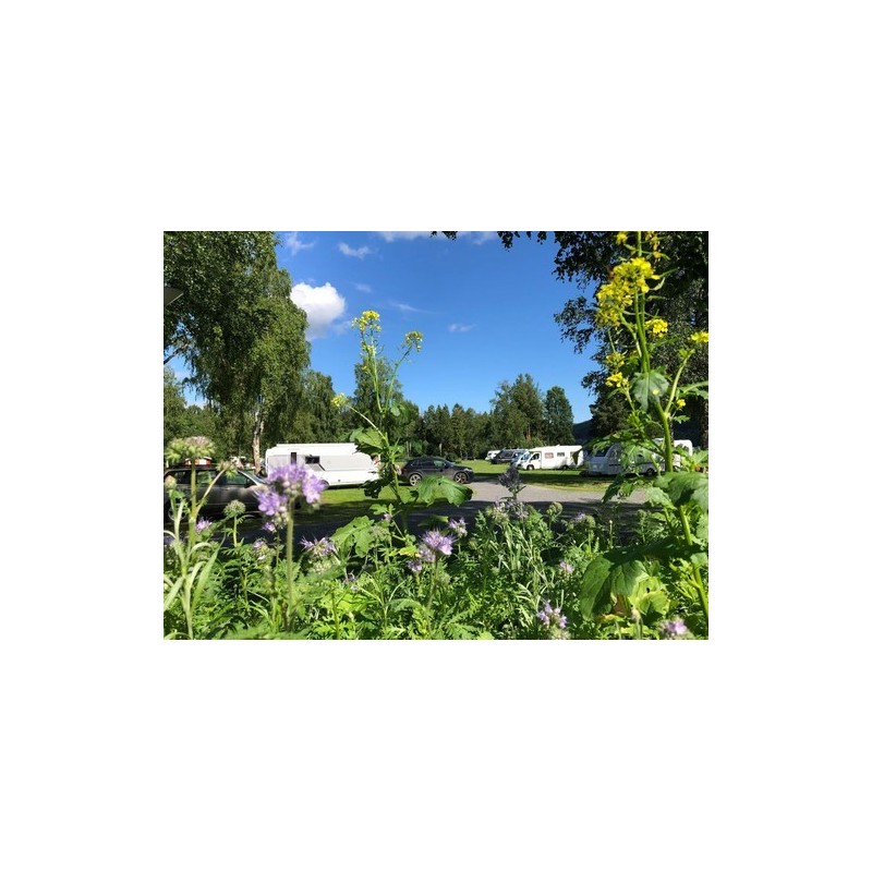 Hammarstrands Camping