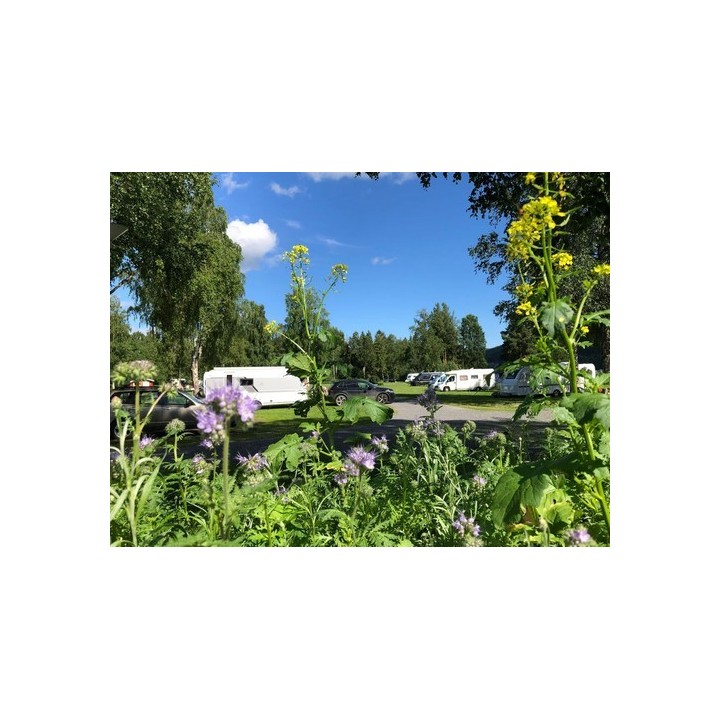 Hammarstrands Camping
