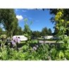 Hammarstrands Camping