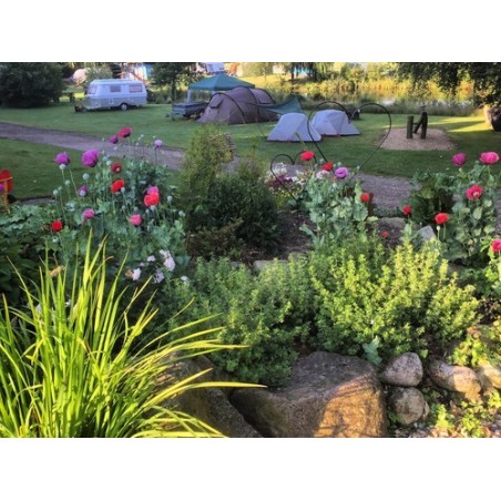 Gyvelborg Øko-camping & gårdbutik