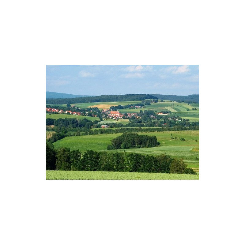 Camping Platzermühle