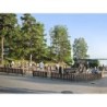 First Camp Kolmården-Norrköping