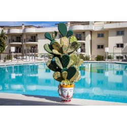 4 Spa Resort Hotel