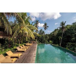 Accommodation Pertiwi Bisma 1