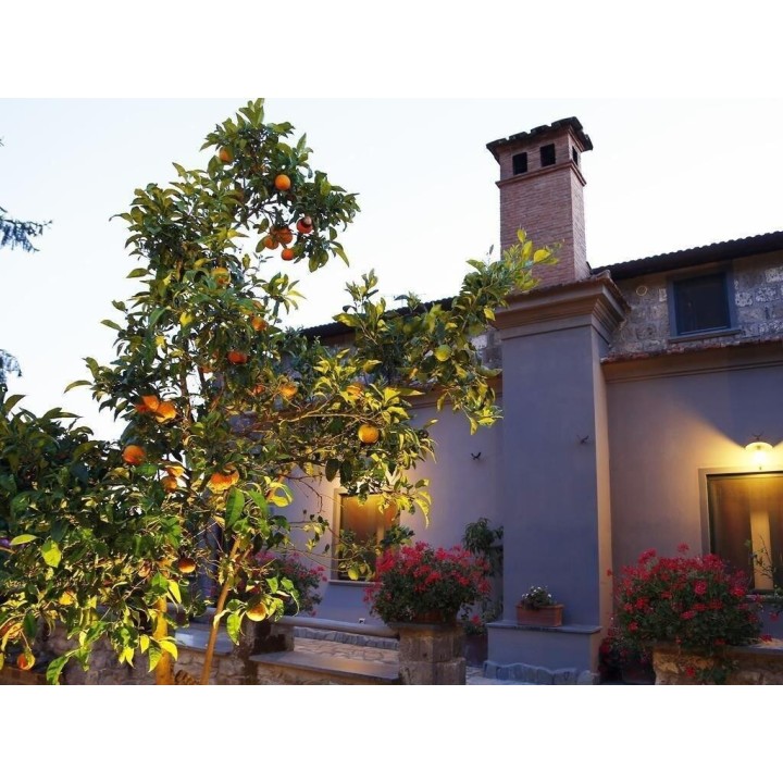 Agriturismo Il Convento