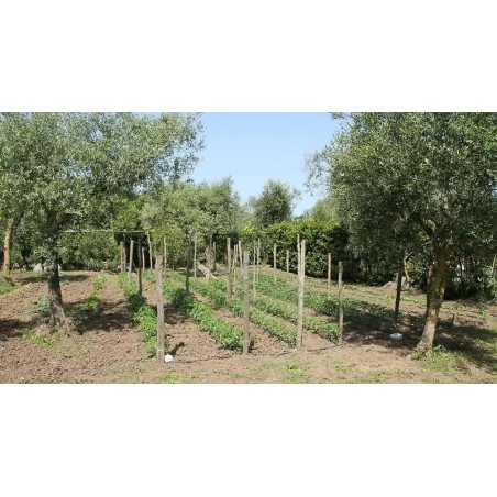 Agriturismo Piccolo Paradiso
