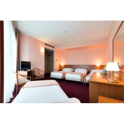 Airport Hotel