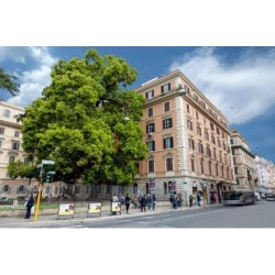 Amoroma Suite