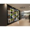 Ariae Hotel