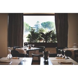 Art Hotel Museo