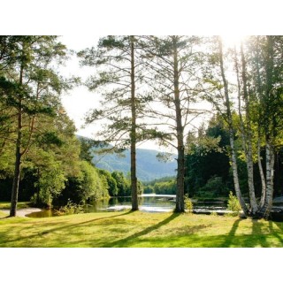 Hegna Camping