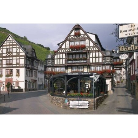 Berg's Alte Bauernschänke