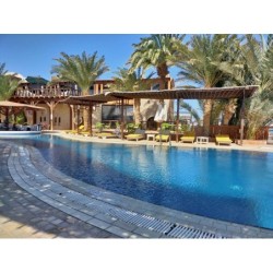 Berlin - Dahab - Nesima Resort