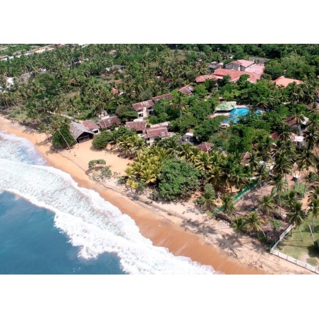 Berlin - Kalutara - Siddhalepa Ayurveda Resort - All Meals, Ayurveda Treatment and Yoga