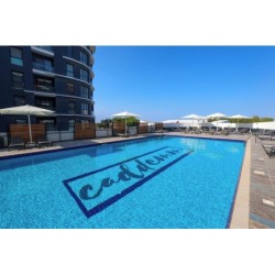 Berlin - Paralimni - Caddem Inn Hotel