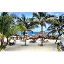 Berlin - Playa del Carmen - BALAM Playa - 15Th Ave