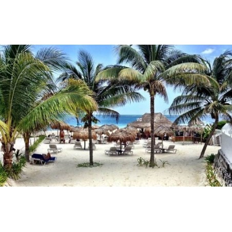 Berlin - Playa del Carmen - BALAM Playa - 15Th Ave