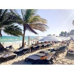Berlin - Playa del Carmen - SILVERSANDS Hotel Boutique - 5Th Ave