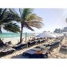 Berlin - Playa del Carmen - SILVERSANDS Hotel Boutique - 5Th Ave