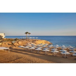 Berlin - Port Ghalib - JAZ Neo Reef Marsa