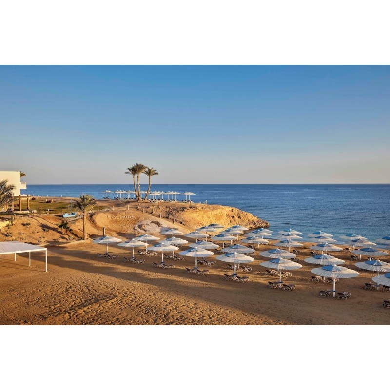 Berlin - Port Ghalib - JAZ Neo Reef Marsa