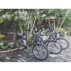 Berlin - Taling Ngam Beach - Koh Samui - Anahata Resort