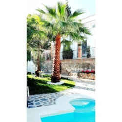 Berlin - Torremolinos - Boutique X Pueblo, Benalmádena
