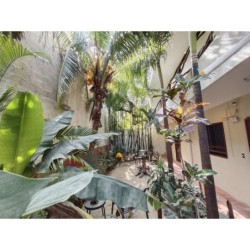 Berlin - Tulum - Casa Lupita