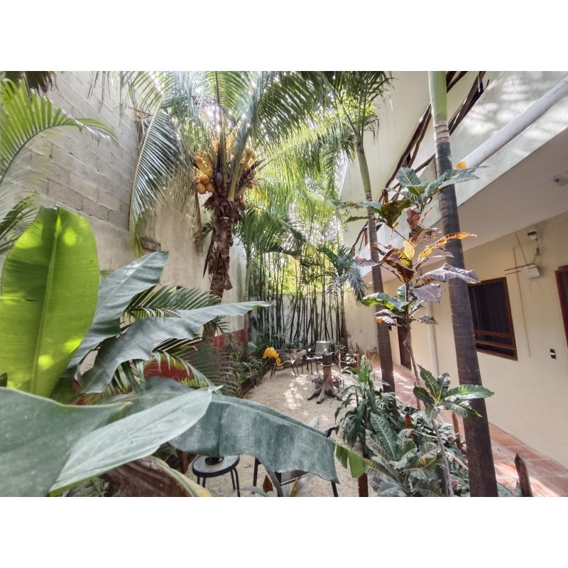 Berlin - Tulum - Casa Lupita