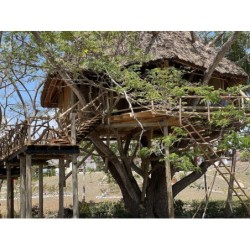Berlin - Uroa - Antonio Beach Tree House Hotel & Spa