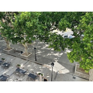 Berlin - Vitrolles - SOUS LES PLATANES