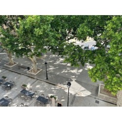 Berlin - Vitrolles - SOUS LES PLATANES