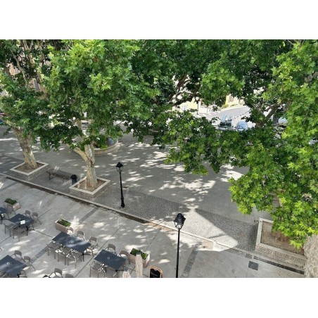 Berlin - Vitrolles - SOUS LES PLATANES