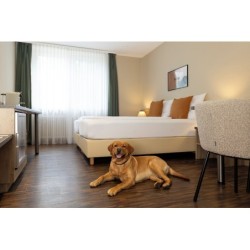 Berlin - Würzburg - Hotel Fischzucht in Würzburg