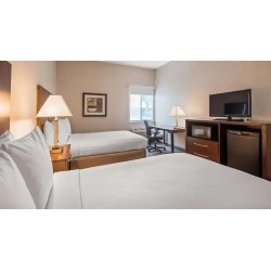 Best Western Tampa