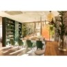 Bio Boutique Hotel Xù - Ambienthotels Group