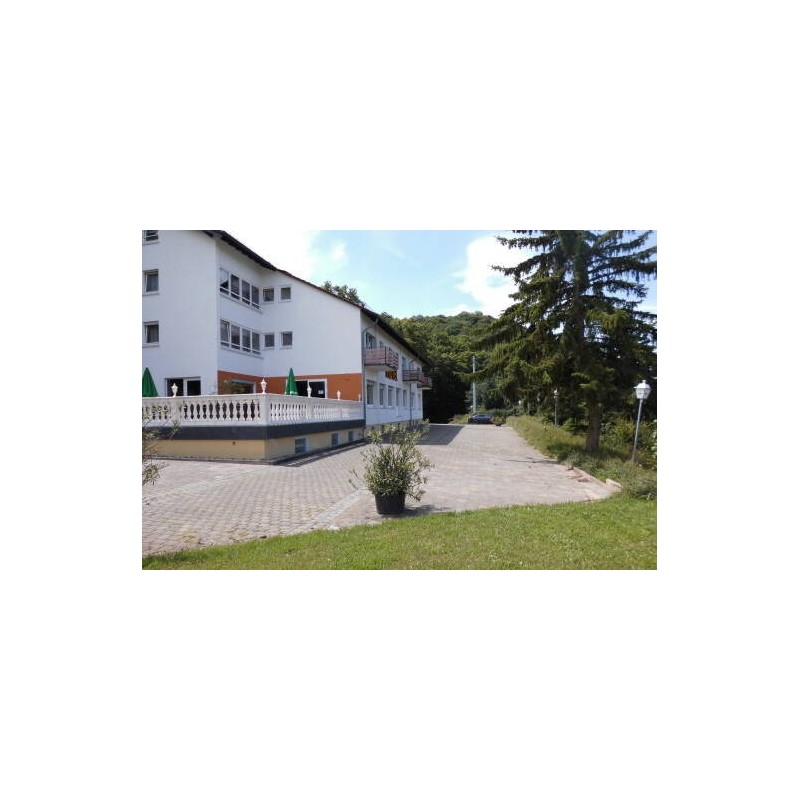 Burg-Hotel Obermoschel