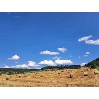 Camping Bois de Reveuge