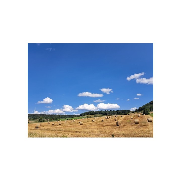 Camping Bois de Reveuge